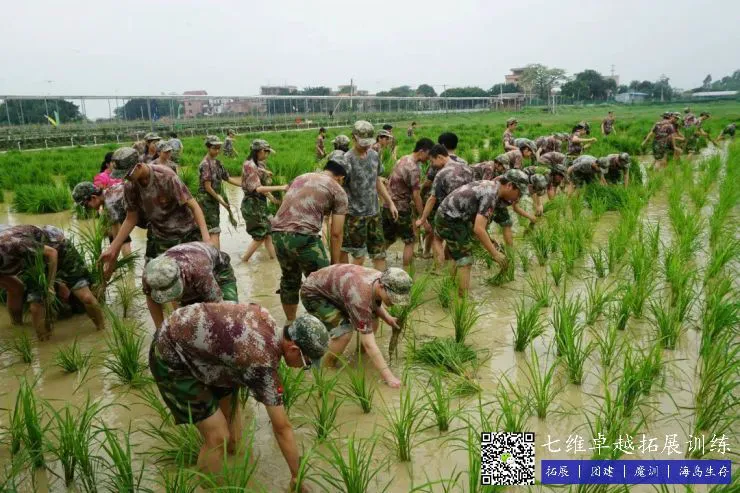 如何制定智能篮球训练计划_2
