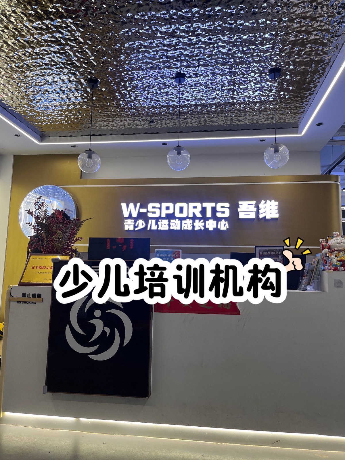 为什么选择特定品牌的篮球训练设备_0