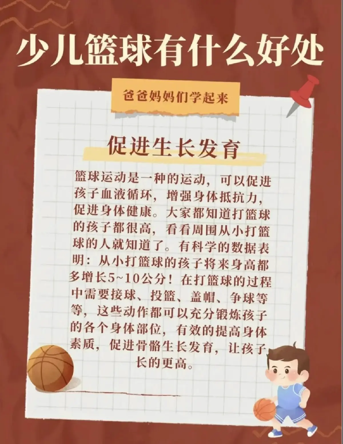 儿童篮球新人的成长路径是怎样的